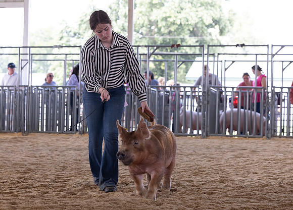 Indianapolis Senior Photographer Connie Etter Photography-4053