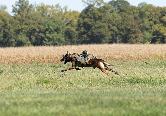 Indianapolis Senior Photographer Connie Etter Photography-6320