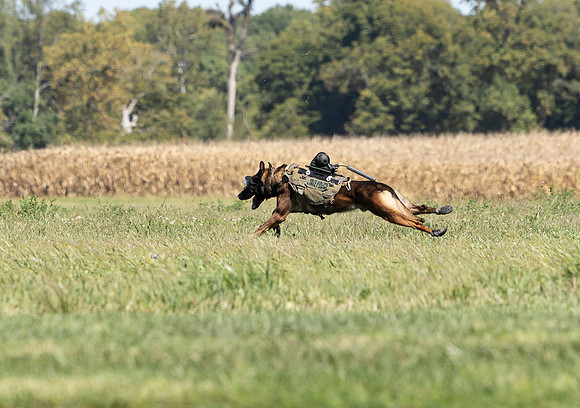 Indianapolis Senior Photographer Connie Etter Photography-6332