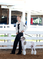 Indianapolis Senior Photographer Connie Etter Photography-2960