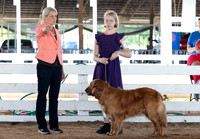 Indianapolis Senior Photographer Connie Etter Photography-2954