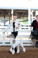 Indianapolis Senior Photographer Connie Etter Photography-2982