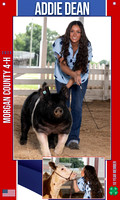 4H addie