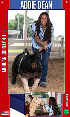 4H addie