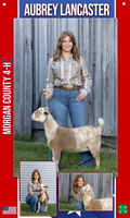 4H aubrey