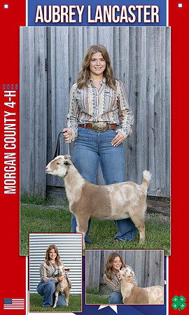 4H aubrey