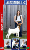 4H jadason