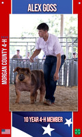 4H ALEX