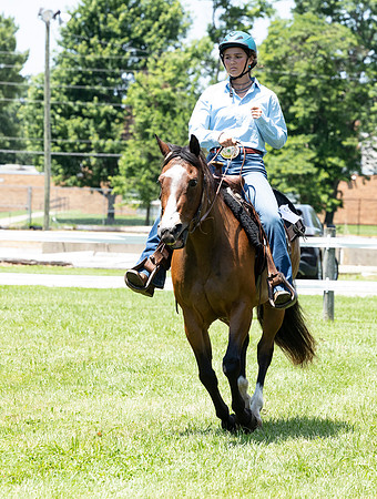 Indianapolis Senior Photographer Connie Etter Photography-3592