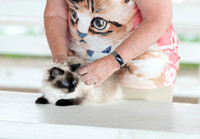 Indianapolis Senior Photographer Connie Etter Photography-3968