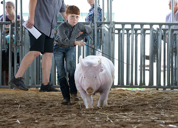 Connie Etter Photography-5353-2