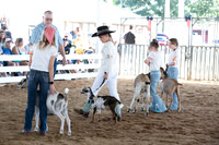 Morgan County 4-H Goat Show