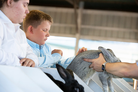 Connie Etter Photography-8484
