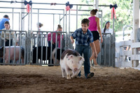 Connie Etter Photography-9090