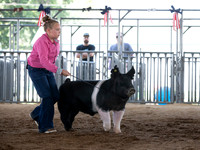 Connie Etter Photography-9100