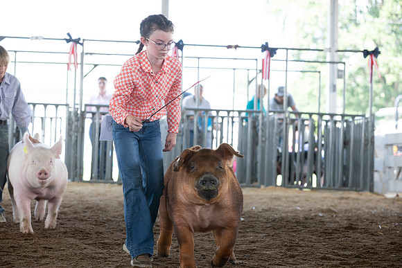 Connie Etter Photography-9167