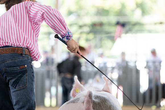 Connie Etter Photography-9180