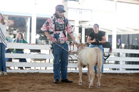2026 Morgan County 4-H Beef Show