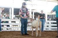 Connie Etter Photography-0002
