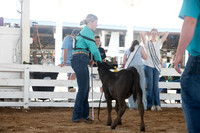 Connie Etter Photography-0005