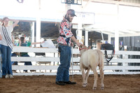 Connie Etter Photography-0006