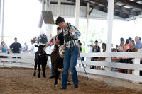 Connie Etter Photography-0016