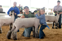 2026 Morgan County Fair Open Sheep Show