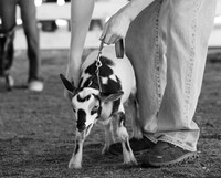 Connie Etter Photography-1256