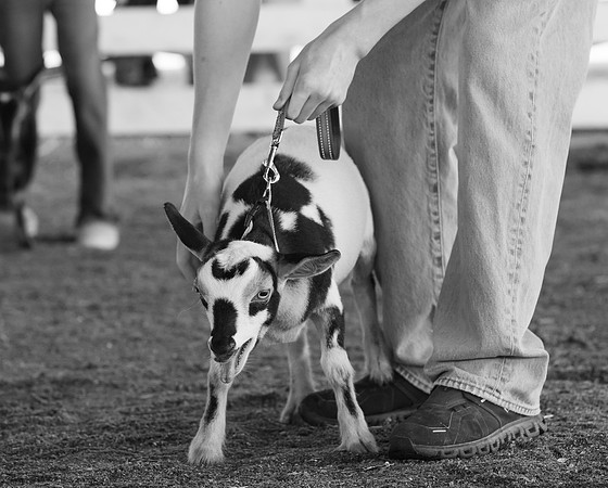 Connie Etter Photography-1256