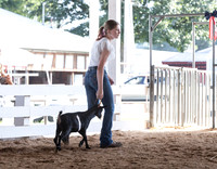 Connie Etter Photography-1270