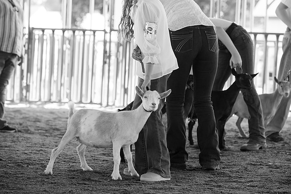 Connie Etter Photography-1268