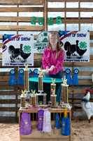 2026 Morgan County Fair Poultry
