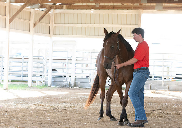 Connie Etter Photography-2020