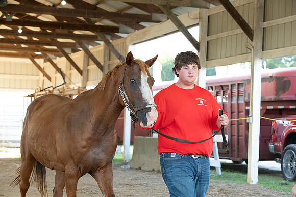 Connie Etter Photography-2013