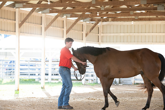 Connie Etter Photography-2026