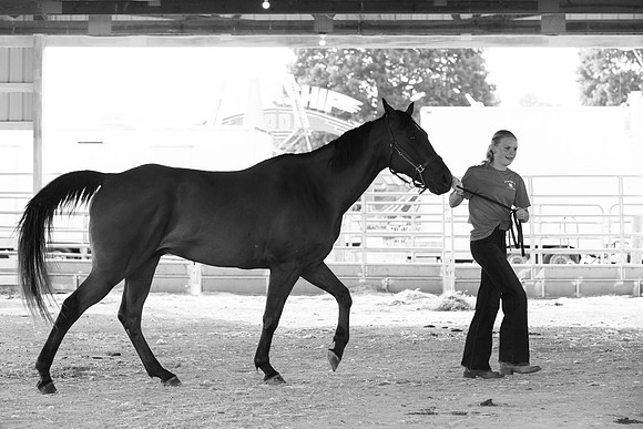 Connie Etter Photography-2048