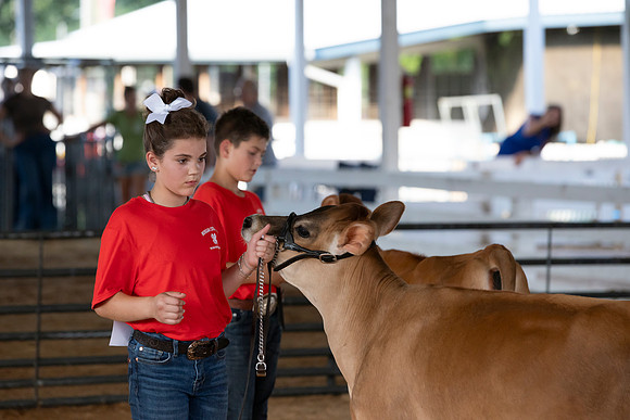 Connie Etter Photography-2071