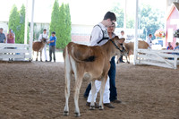 Connie Etter Photography-0732