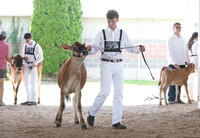 Connie Etter Photography-0737