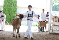 Connie Etter Photography-0738