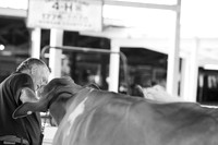 Connie Etter Photography-0851