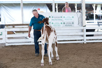 Connie Etter Photography-0864