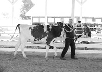 Connie Etter Photography-0871