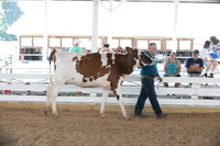 Connie Etter Photography-0872