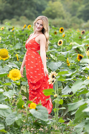 Connie_Etter_Photography_Avery Sunflower_14