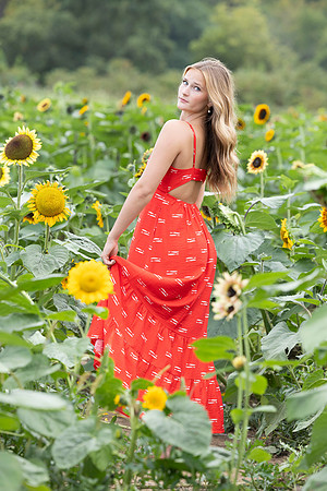 Connie_Etter_Photography_Avery Sunflower_15