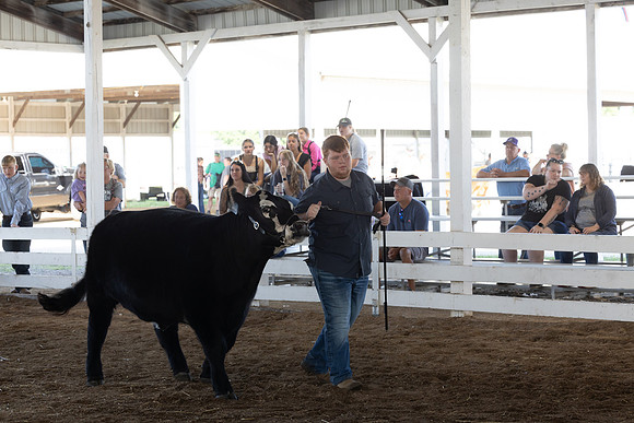 Indianapolis Senior Photographer Connie Etter Photography-0305