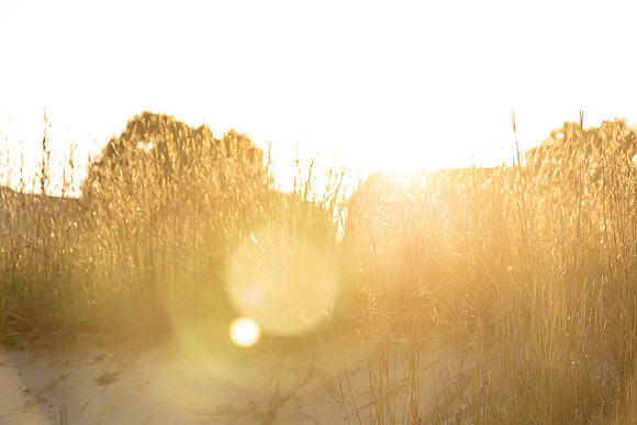 Connie Etter Photography -9026