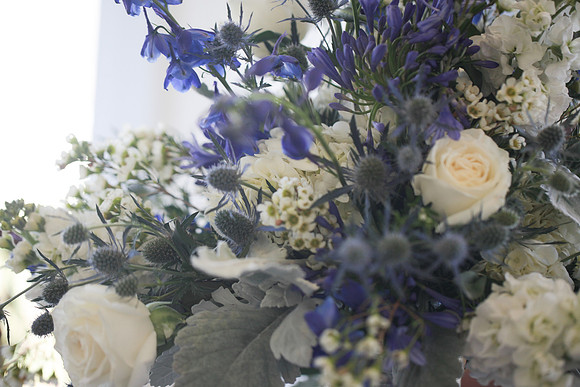 Connie Etter Photography-