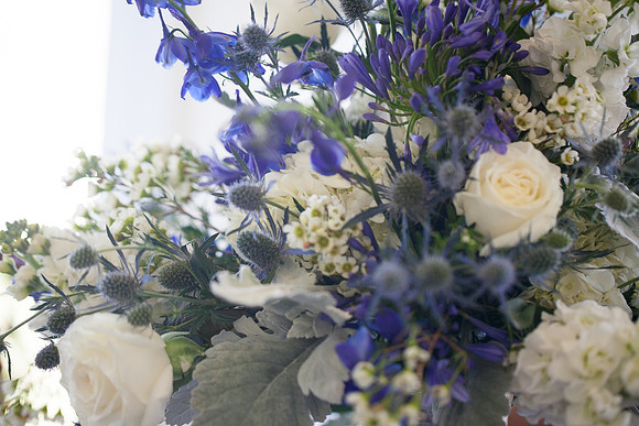 Connie Etter Photography-9087